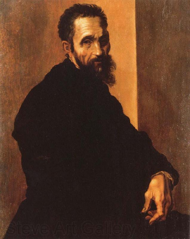 Jacopino del Conte Portrait of Michelangelo Buonarroti Spain oil painting art